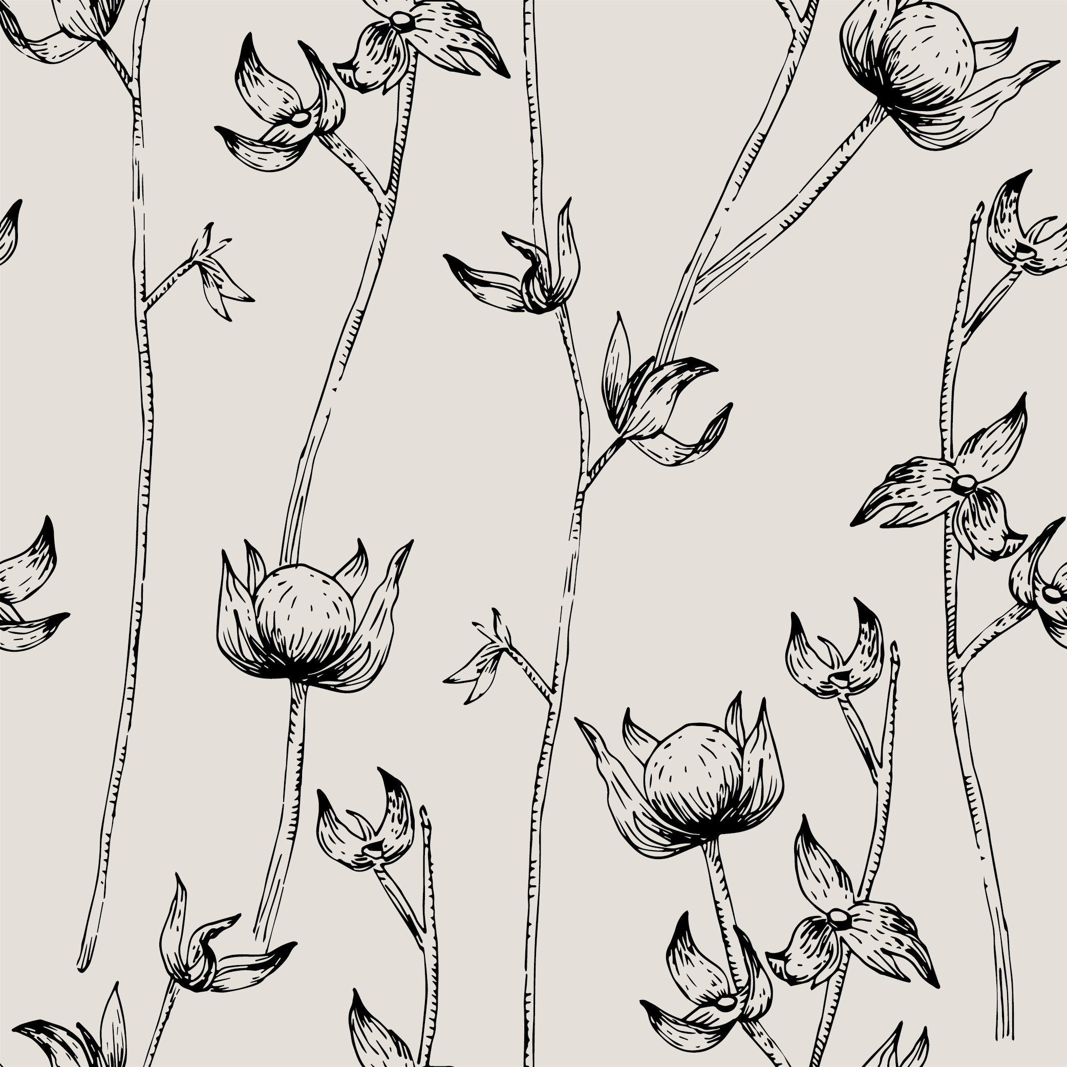 Thorn Repeat