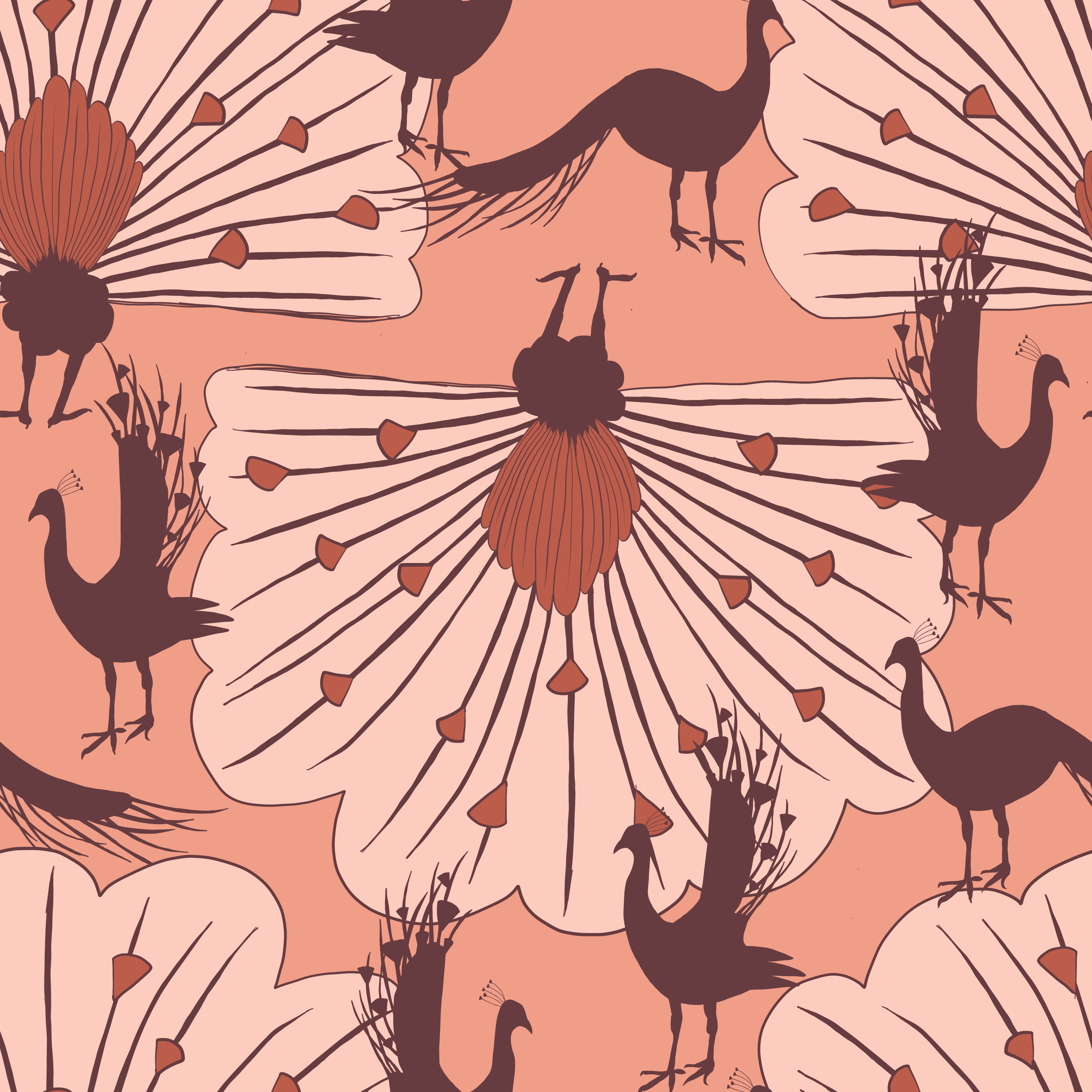 Peacock – pink