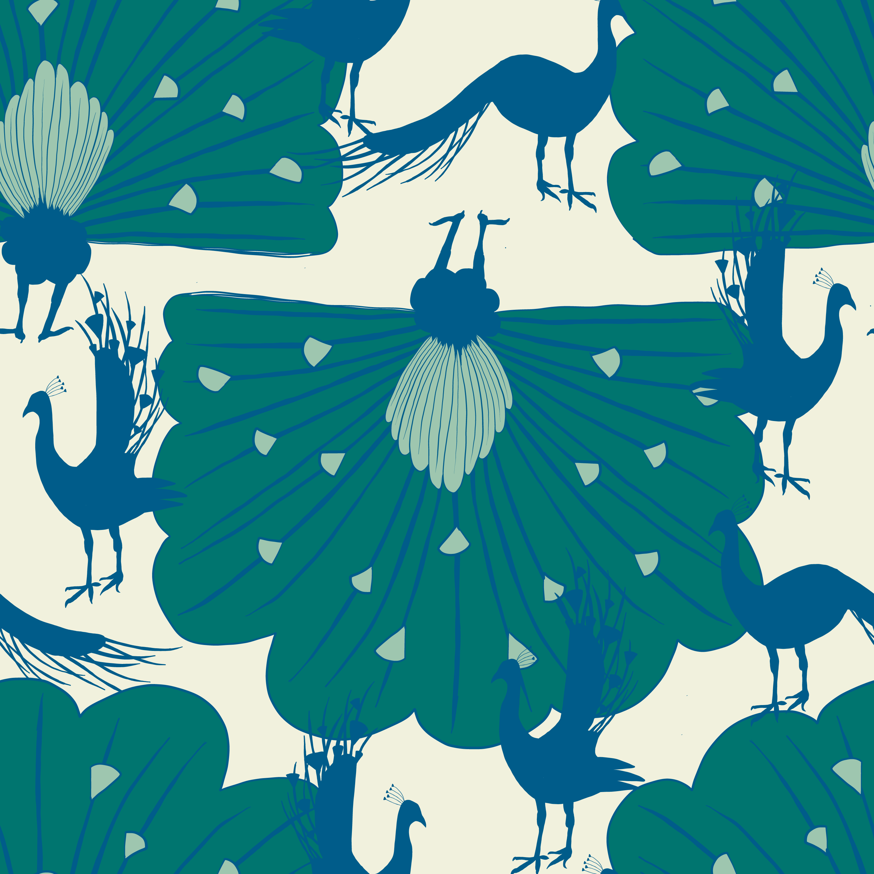 Peacock – blue
